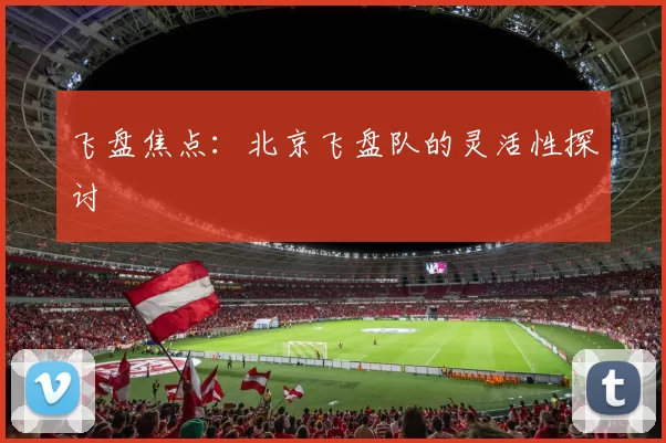 飞盘焦点：北京飞盘队的灵活性探讨