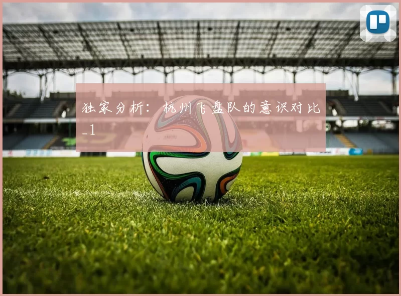 独家分析：杭州飞盘队的意识对比_1