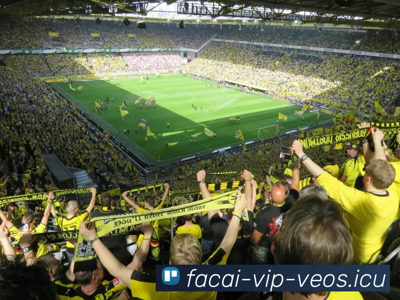 深度对话：黄磊的和平精英人生